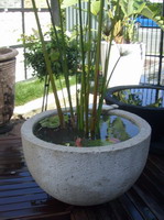 large garden water bowl with plant, off white lava stone finish