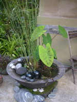 medium size garden water bowl with plants, charcoal volcanic scoria finish