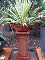medium size garden planter bowl with plant on pedestal, iron verdi semi formal finish