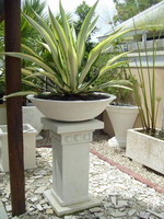 Planter bowl and plinth with pattern at top, custom white semi formal finish.