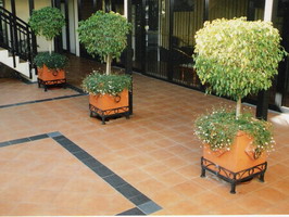 Spanish Square Planter Pot with Square Rings and custom steel stand