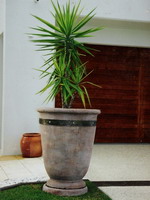 big mediterranean planter pot with steel band, aged terracotta semi formal finish on drip tray  plinth