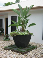 big lava stone feature planter pot, charcoal finish