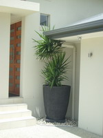 large garden feature pot, black lava stone finish on plinth