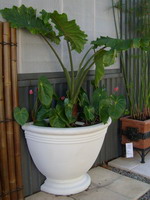 white half pot planter, porter white semi formal finish