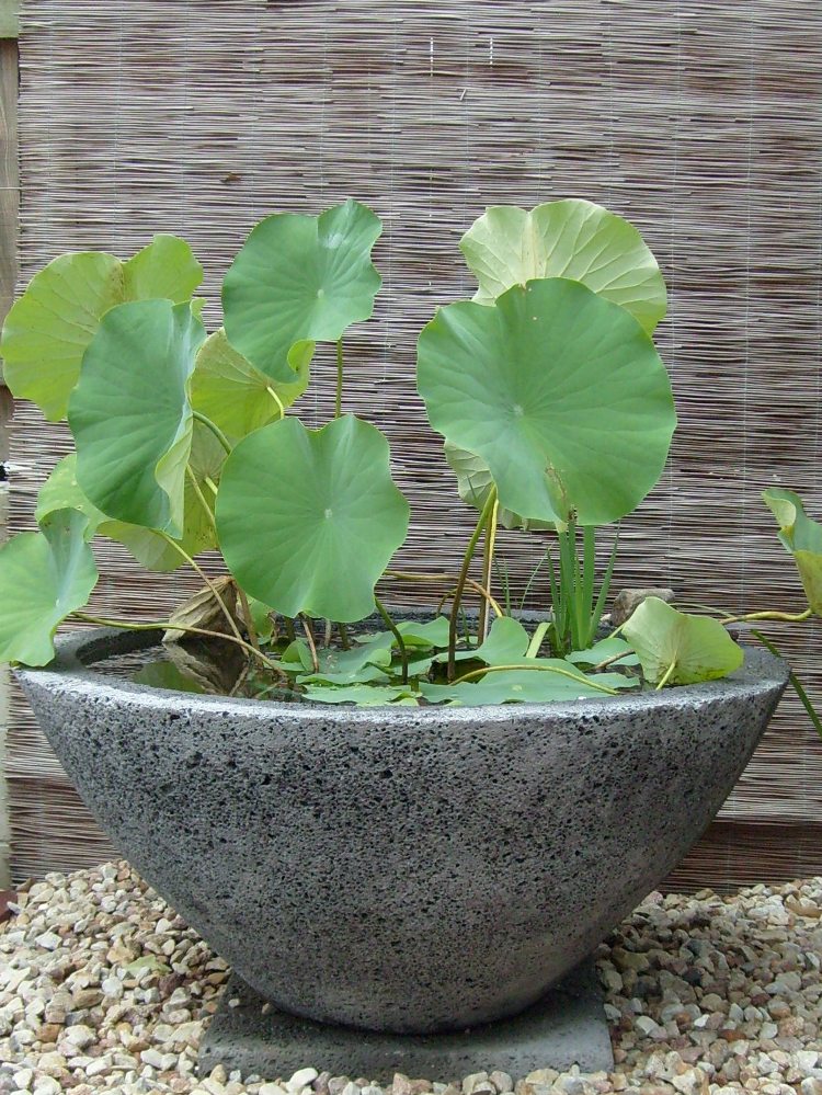 Potanico Large Garden Bowls and Fire Pits Potanico Large Garden Bowls and Fire Pits
